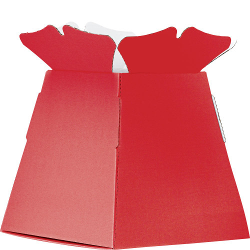 Living Vases - Red Castillo Box