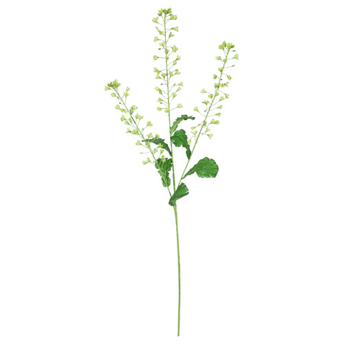 Rapeseed Flower Green (111cm)