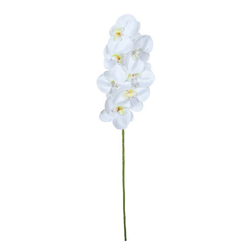 White Single Orchid (73cm)