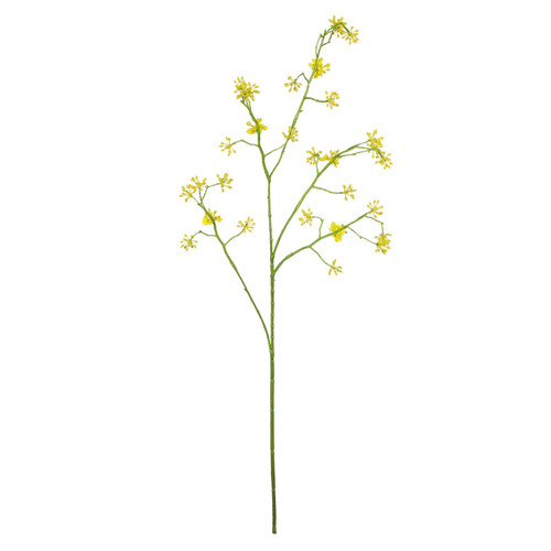 Cornus Mas Tree Flower Yellow (75cm)
