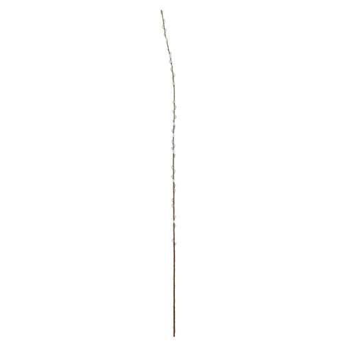 White Single Salix (182cm)