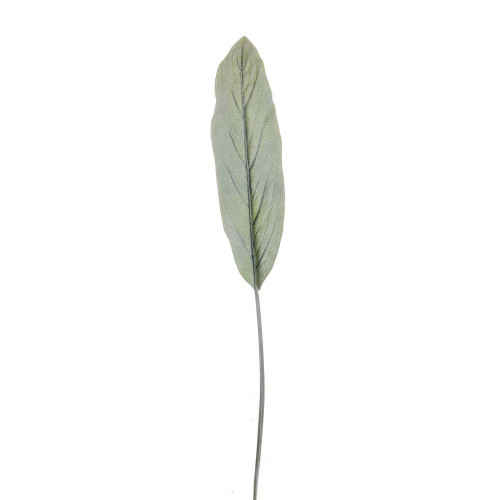 Frosted Cordyline Leaf (110cm)