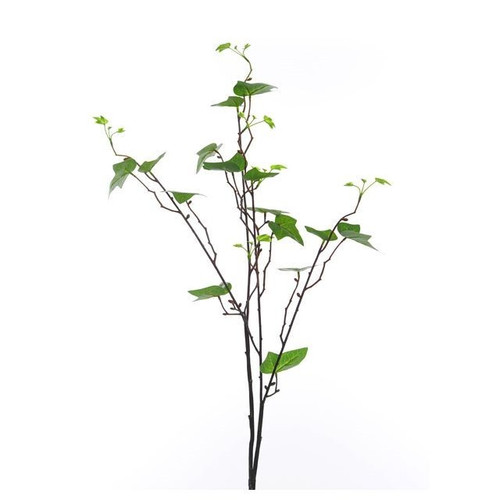 Ivy Leaf Branch (91Cm)