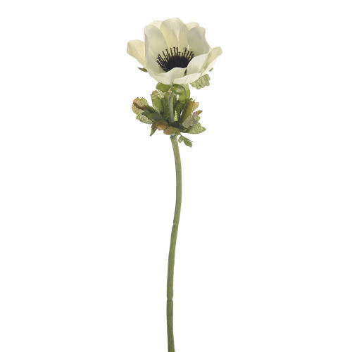 Cream Anemone Single Stem (35cm)