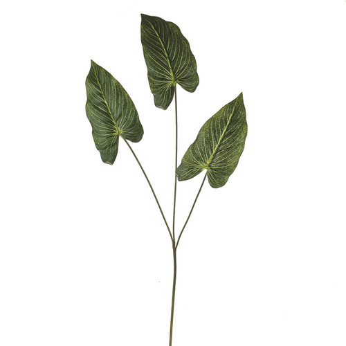 Green Leaf Anthurium Spray (71cm)
