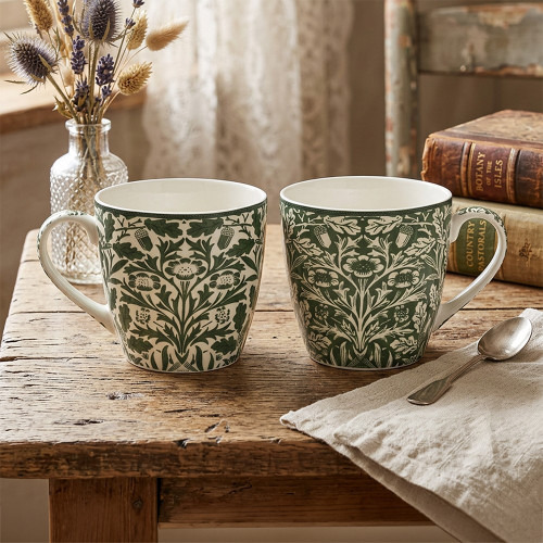Green Acorn Breakfast Mug (Assorted)