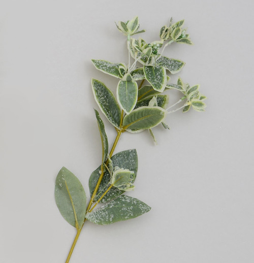 Green Variegated Frosted Leaf Spray (68cm)
