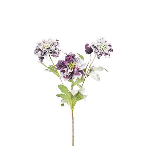 Purple Snowy Christmas Rose Spray (66cm)