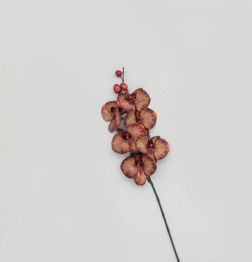 Orchid Copper (82cm)