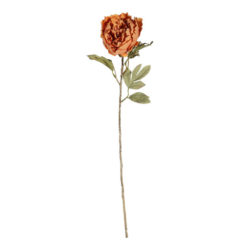 Orange Single Peony (63cm)