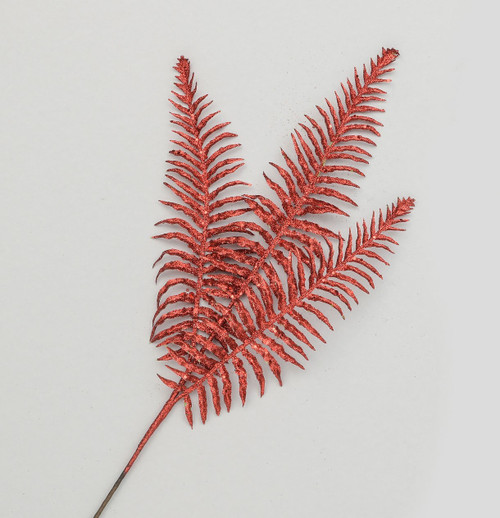 Red Glitter Boston Fern (60cm)