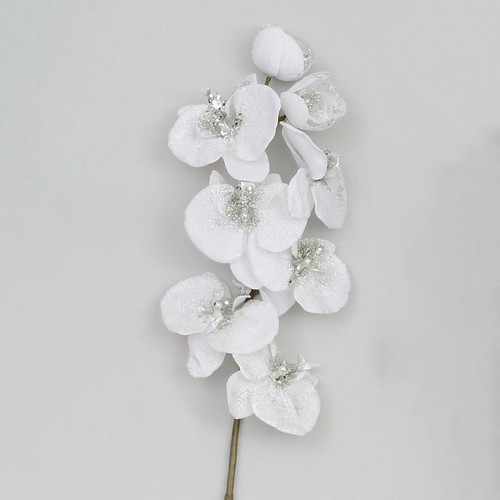 White Glitter Phalaenopsis (75cm)