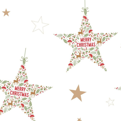 Christmas Star Frosted Cello (50m)