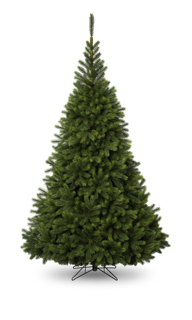 6ft Oregon Pine Christmas Tree (751 Tips)