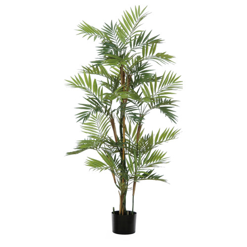 Green Parlour Palm Tree Potted Plant (122cm H)