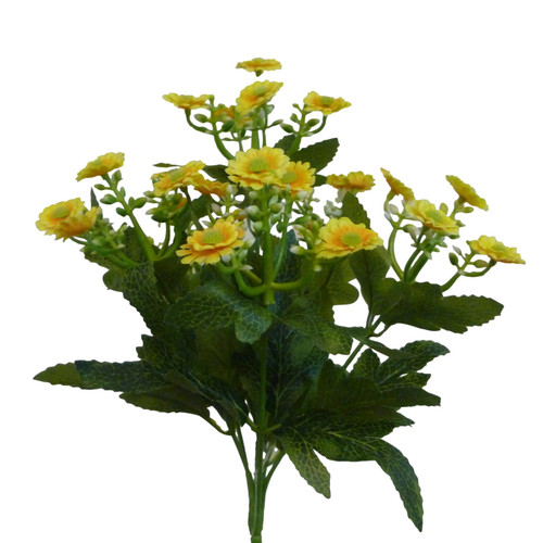 Yellow Daisy Bush (28cm) x6