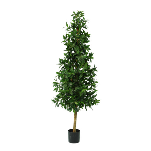 Green Laurel Tower Tree Potted Plant -  (1776 Leaves) (152cm H)