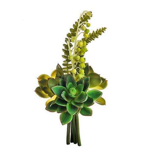 Cactus Bundle (28cm)