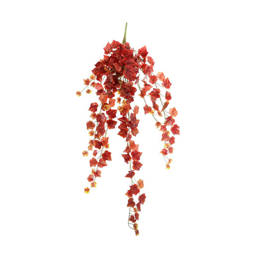 Grape Ivy Hanger