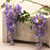 Two Head Wisteria Violet