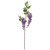 Two Head Wisteria Violet