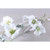 75cm Xmas Rose Spray