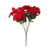 Small Poinsettia Bush x7 heads (15 inch)