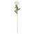 Arundel Open Rose Ivory 