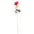 Arundel Rose Red 