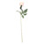 Arundel Rose Ivory 