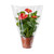 Clear Sleeve 60 x 40cm