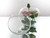 9 inch Fish Bowl Vase (23cm)
