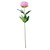 Dusky Pink Arundel Garden Peony