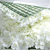White Hydrangea Flower Wall Bundle (1.2 x 1.8M) White Hydrangea Flower Wall Bundle (1.2 x 1.8M)