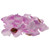 Lilac Rose Petal Confetti (164 petals)