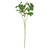French Green Leaf Ivy Spray 