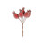 Frosted Hip Bunch (Red)