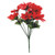 Red Poinsettia Bush (x12)