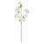 Essential White Apple Tree Blossom