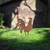 Garden Silhouette Proud Cockerel