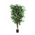 Artificial Ficus Multi Stem Tree (150cm)
