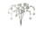Blossom Tree Branches - White - Set of 30