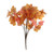 Essential Autumn Maple Bush - Orange