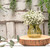 Yellow Veneto Bubble Glass Jar Vase (7.5cm)