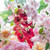 Crushed Raspberry Phalaenopsis Orchid Stem