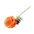 Essential Orange Garden Rose