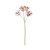 Russet Anethum Spray (81cm)