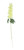 Essential Yellow Arundel Garden Delphinium (77cm)