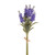 Blue Lavender in Bloom Bundle