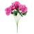 Essential Cerise Arundel Hydrangea Bush